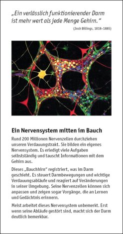 Unser Darm – schlauer als man denkt – Bild 3
